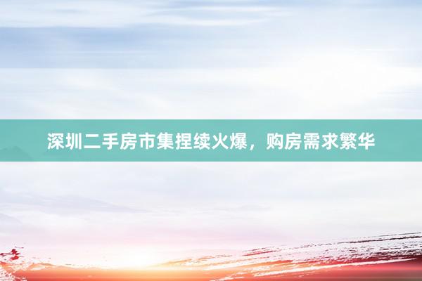 深圳二手房市集捏续火爆，购房需求繁华