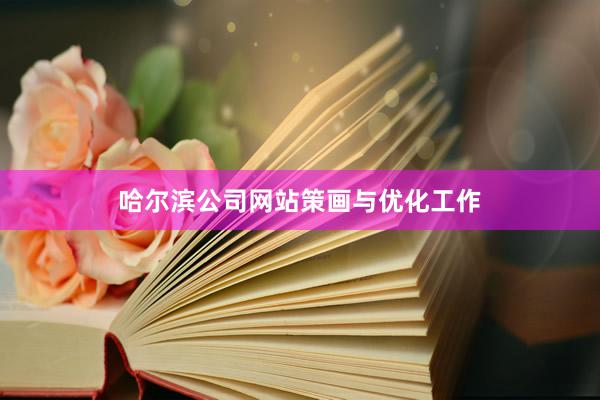 哈尔滨公司网站策画与优化工作