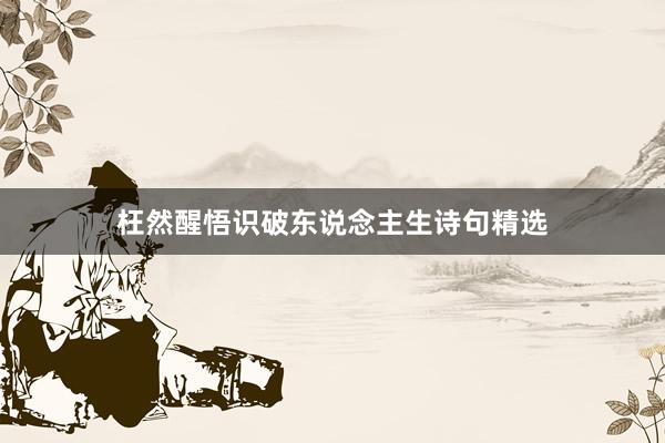 枉然醒悟识破东说念主生诗句精选